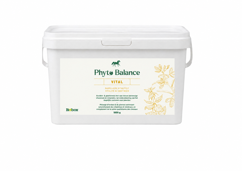 Phyto Balance VITAL 1kg 
