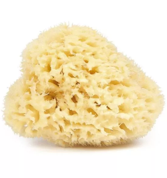 éponge naturelle