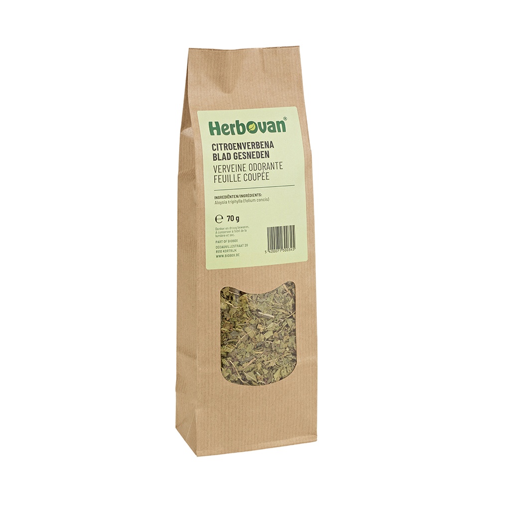 Verveine odorante feuille coupée