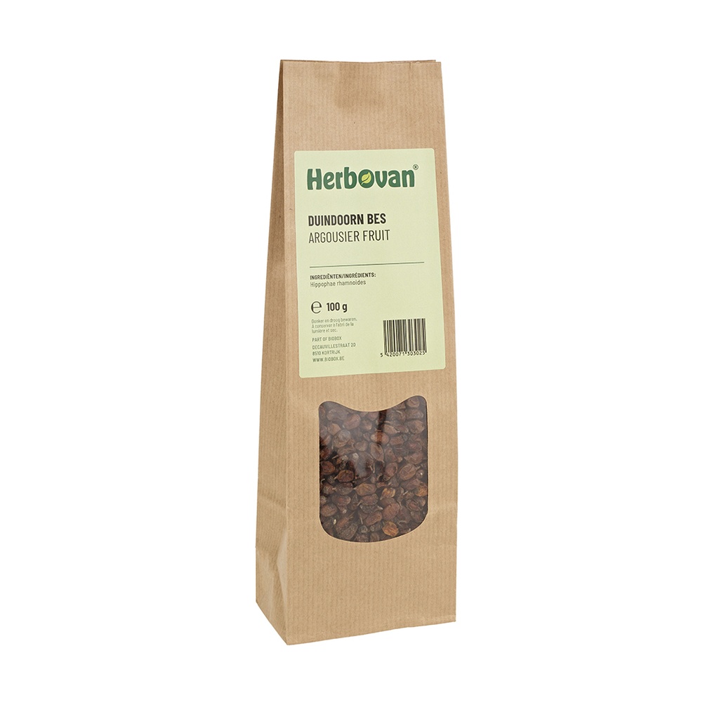 Argousier fruit