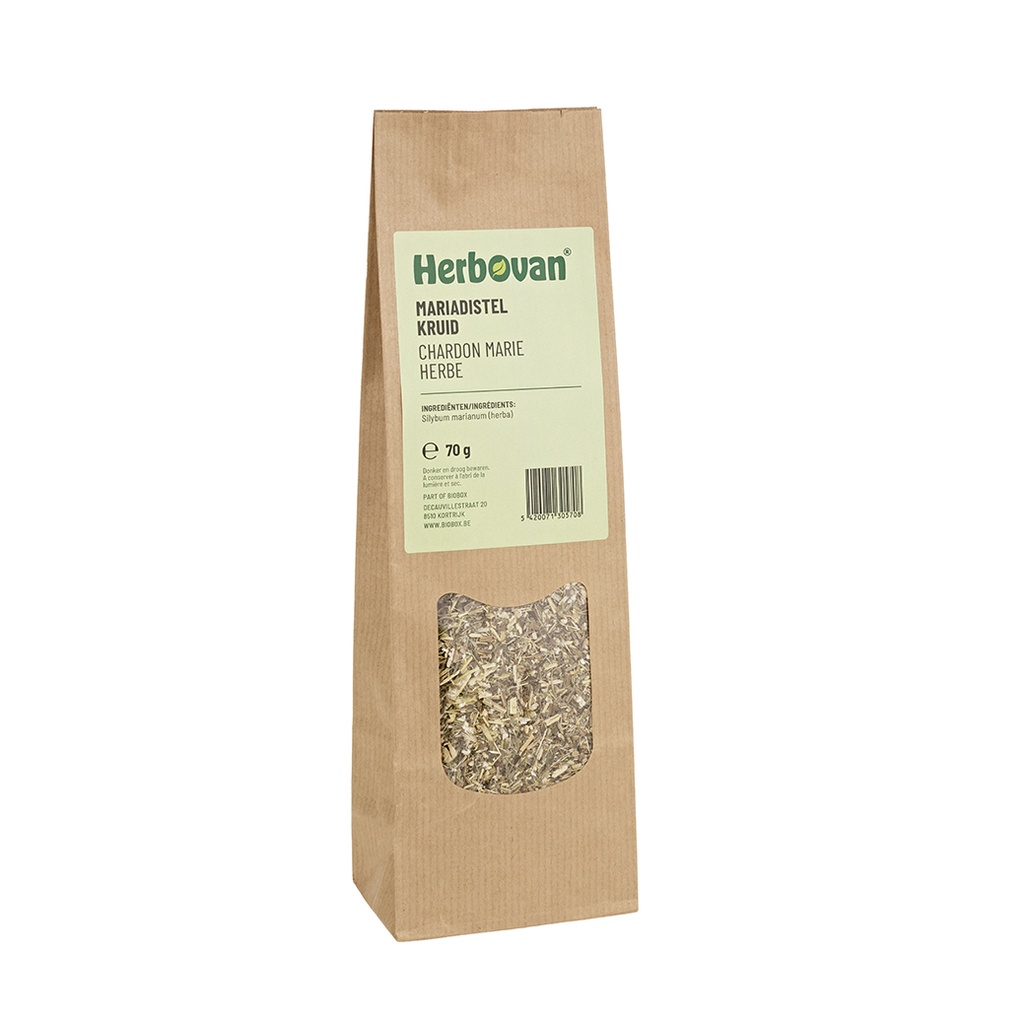 Chardon marie herbe