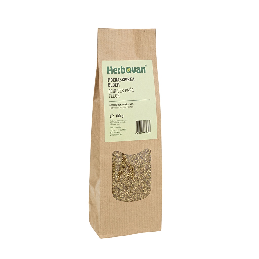 Moerasspirea bloem