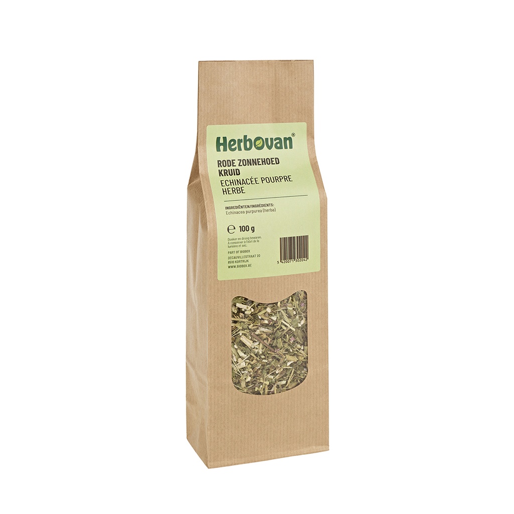 Echinacée pourpre herbe