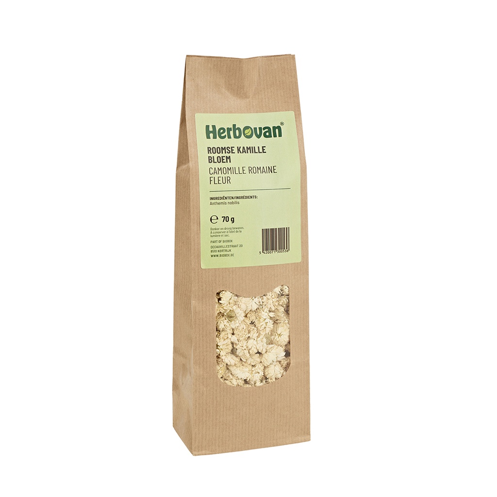 Roomse kamille bloem