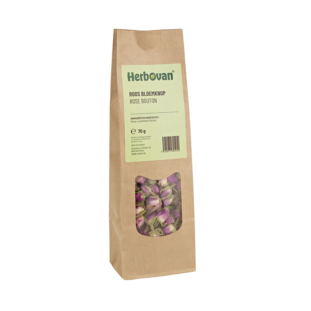 Roos bloemknop