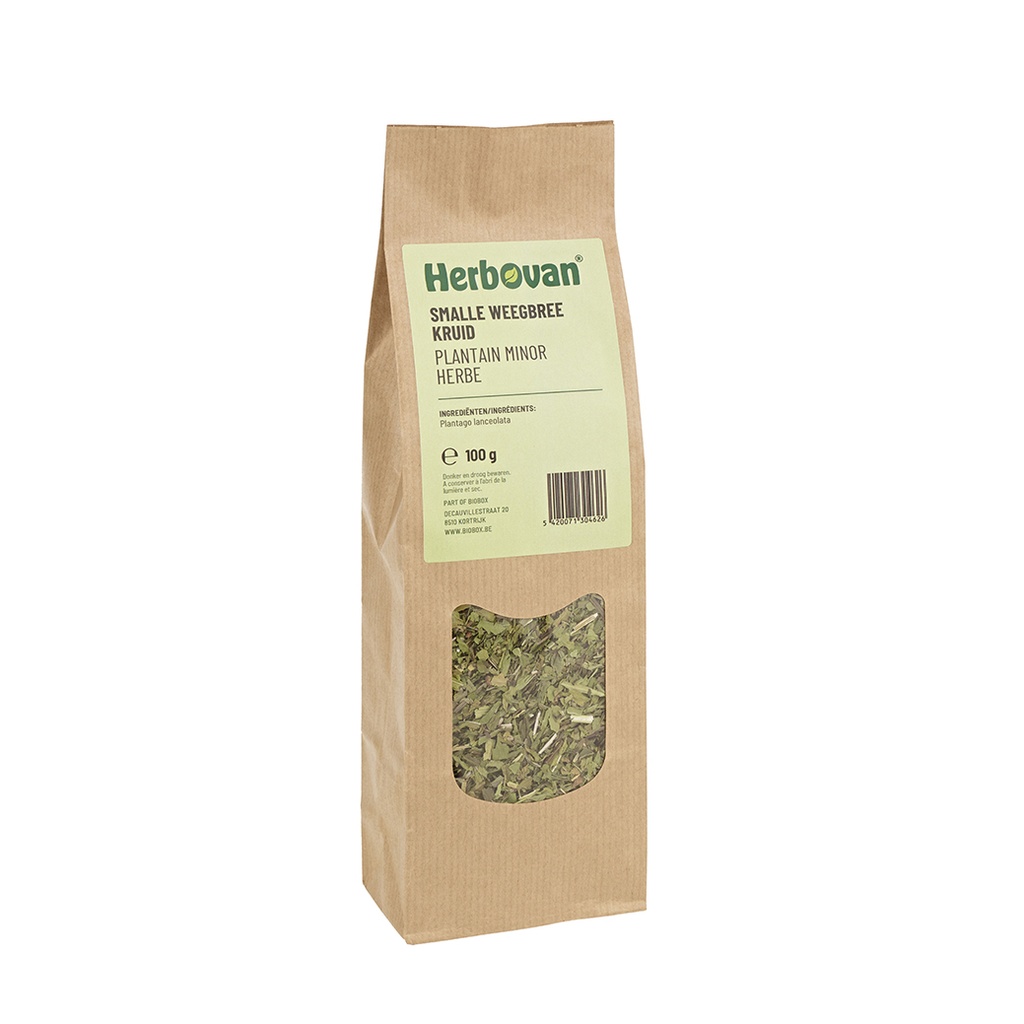 Plantain minor herbe