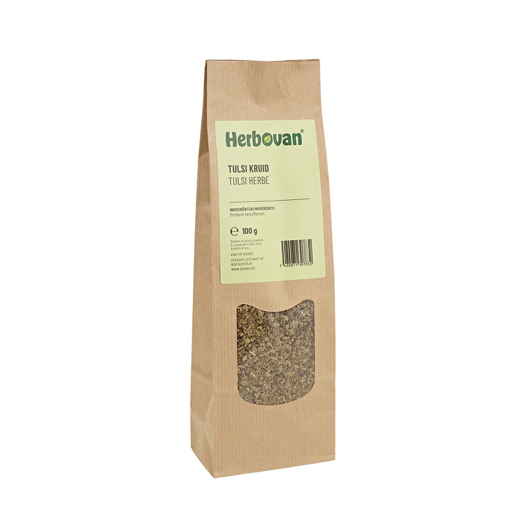 Tulsi (Heilige basilicum) kruid