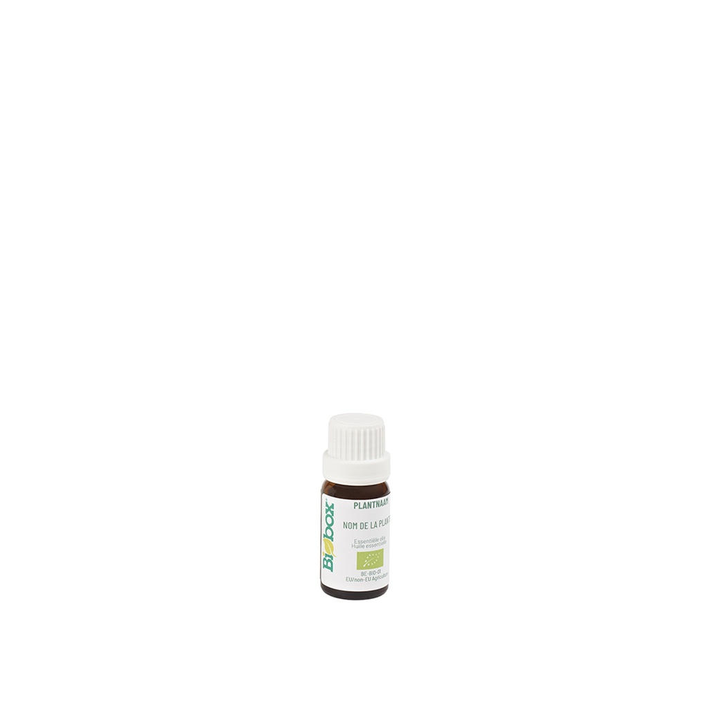 Oregano  