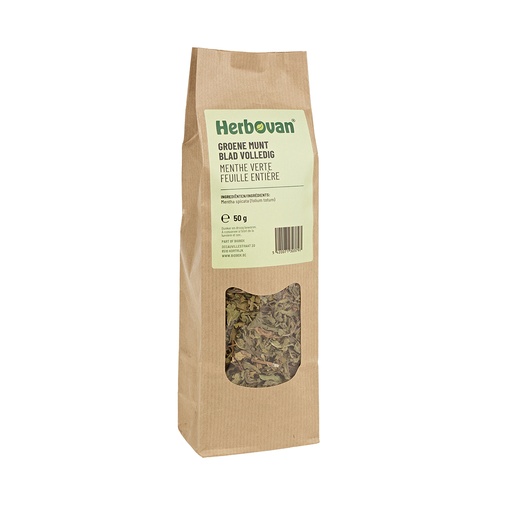Groene munt blad volledig