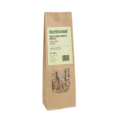 Grote engelwortel wortel