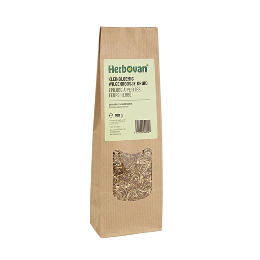 Épilobe à petites fleurs herbe