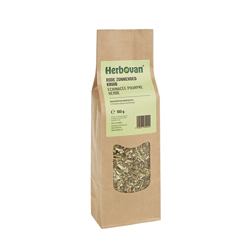 Echinacée pourpre herbe