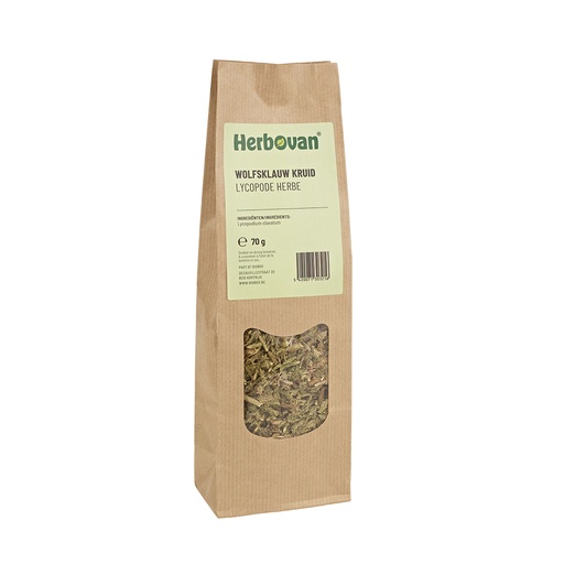 Lycopode herbe